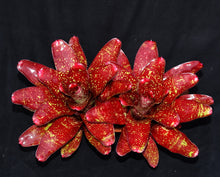 Load image into Gallery viewer, Neoregelia 'Walking Tall'