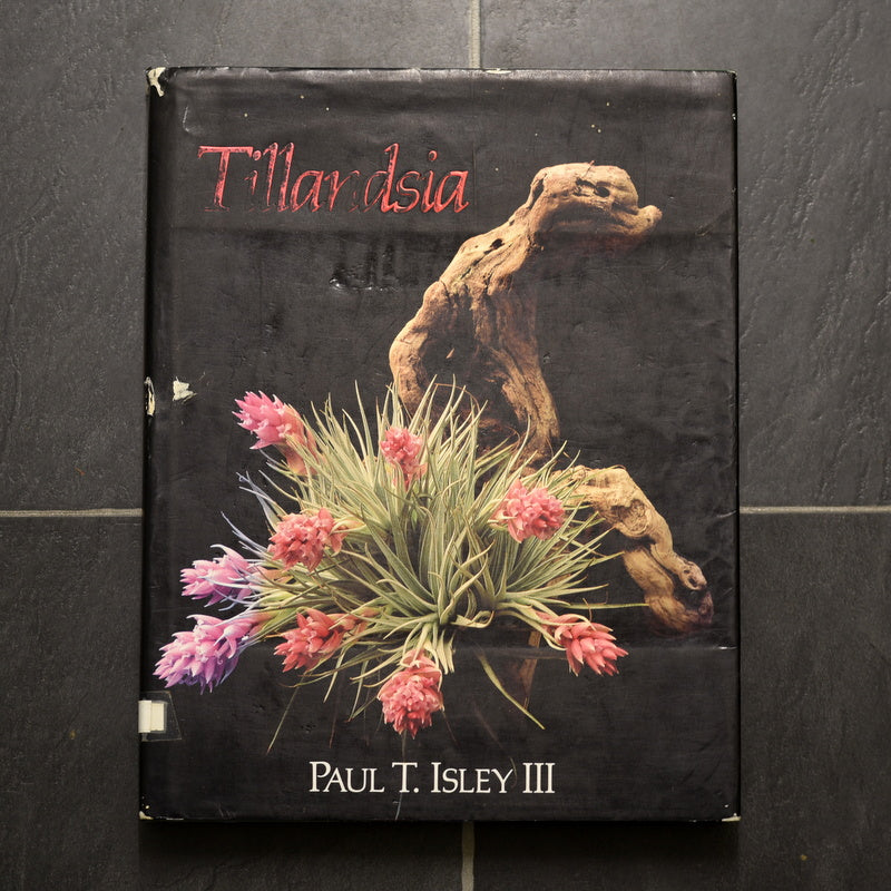 キューハイ様　TillandsiaII by Paul T. Isley III キューハイ様 TillandsiaII by Paul T. Isley III Out of print