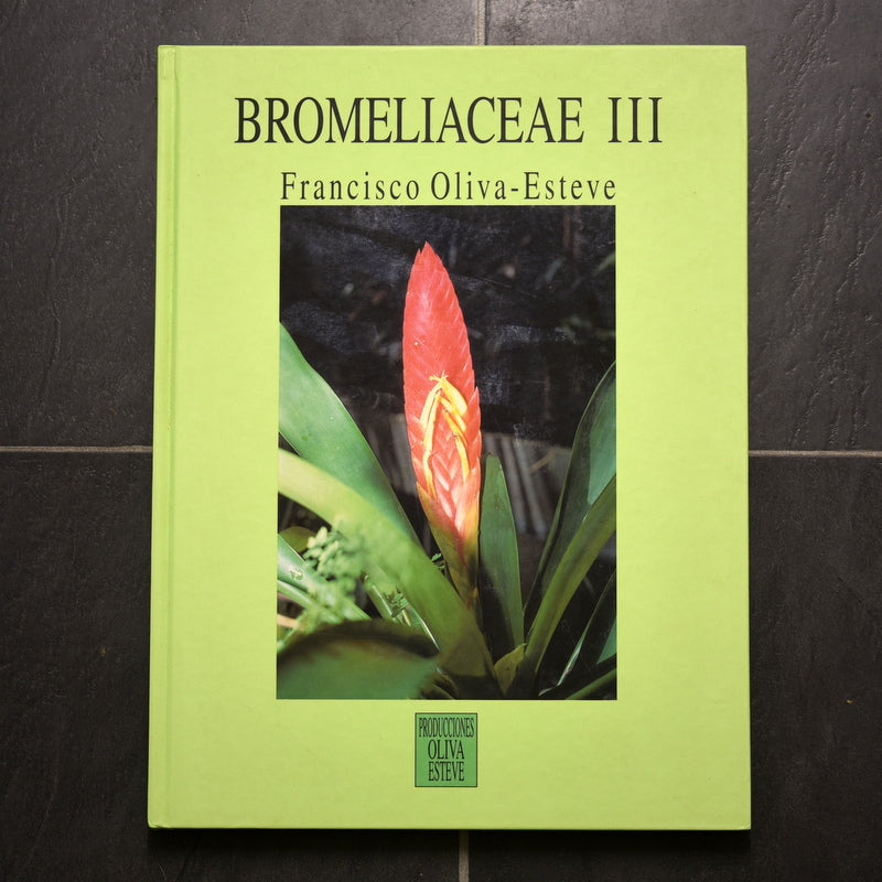 Bromeliacea 3 Francisco Oliva-Esteve