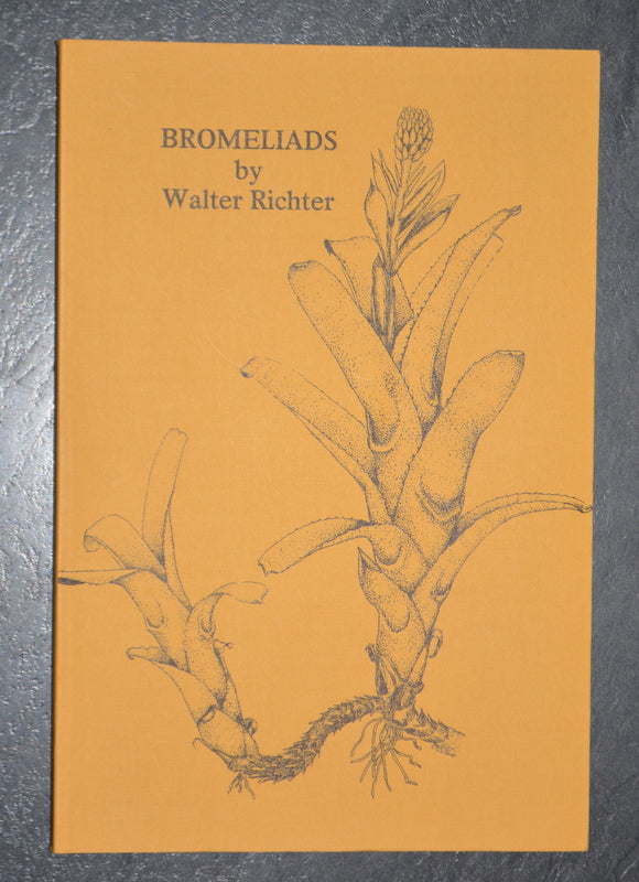 Bromeliads by Walter Richter - Andy's Air Plants